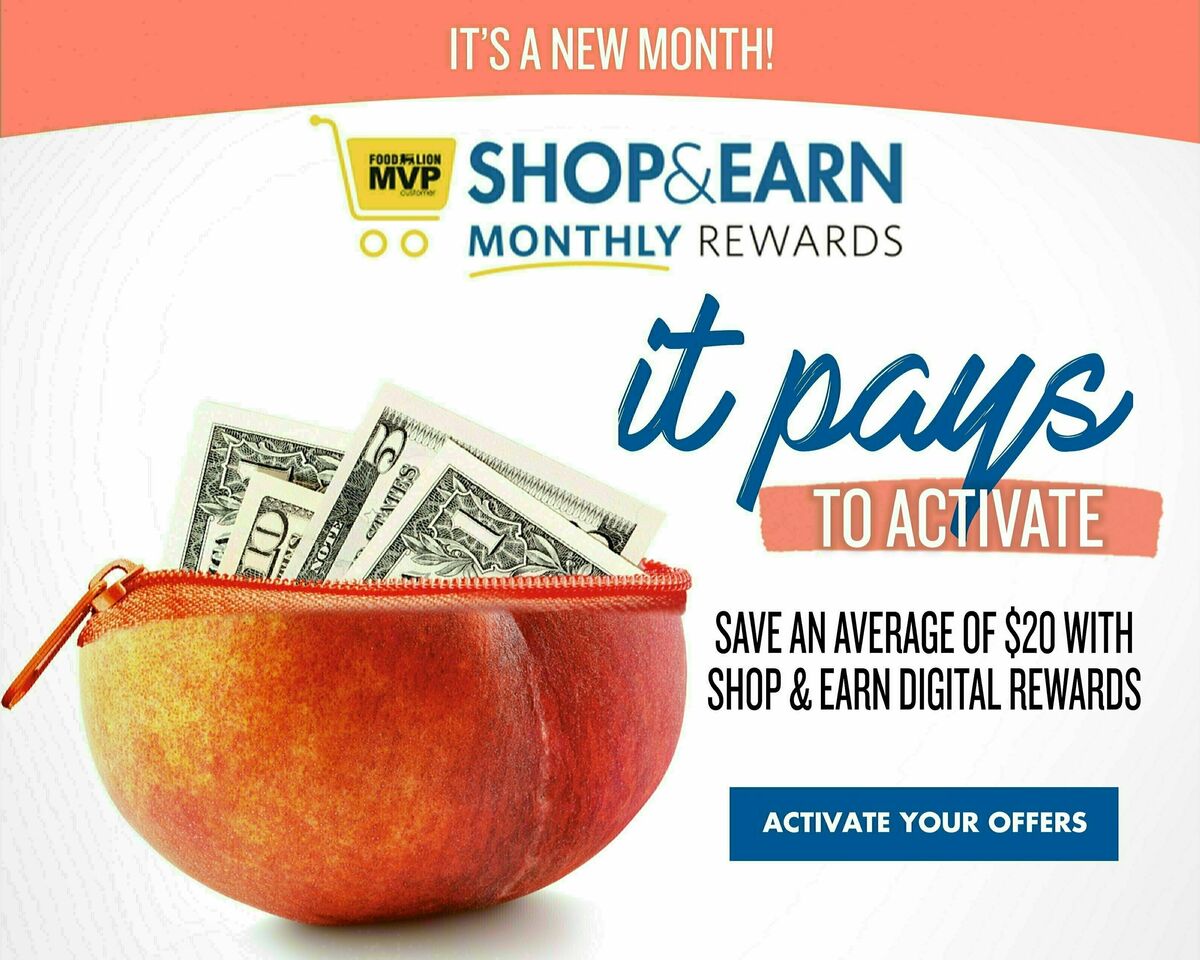 Food Lion Weekly Ad from August 2