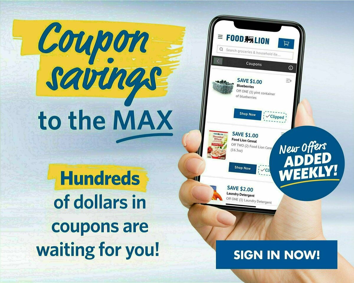 Food Lion Weekly Ad from August 2