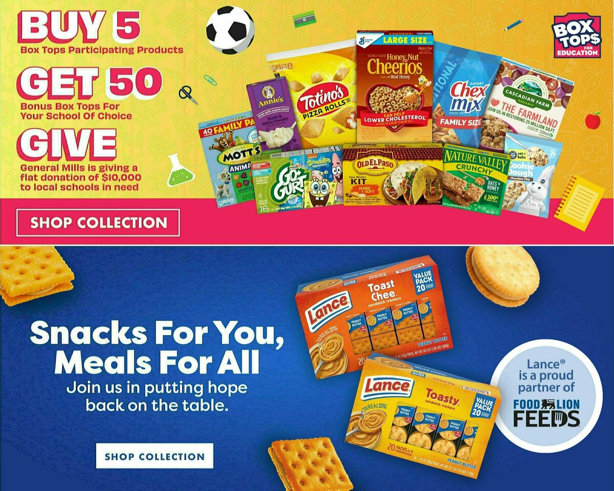 Food Lion Weekly Ad from August 2