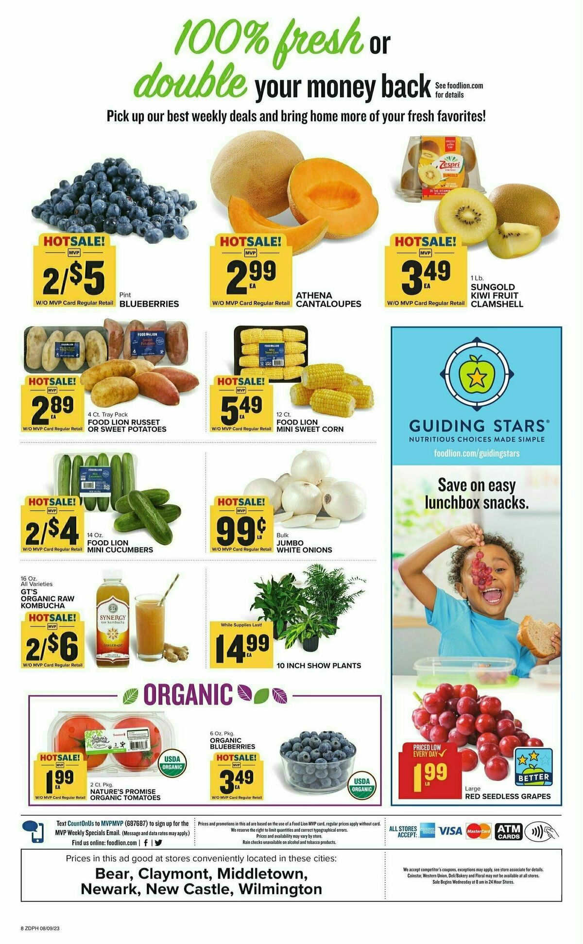 Food Lion Weekly Ad from August 9