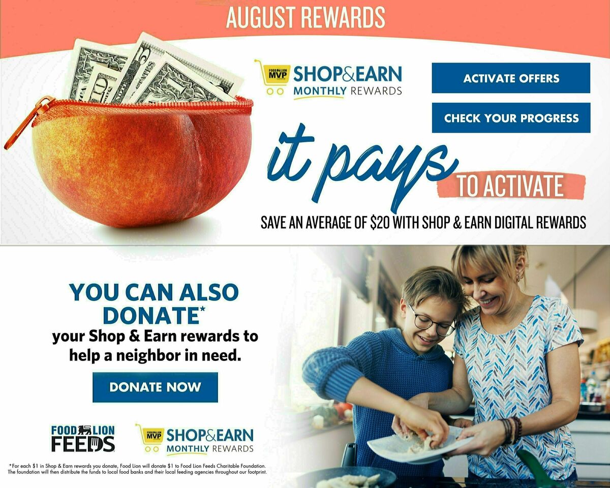Food Lion Weekly Ad from August 16