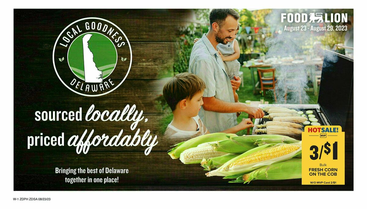 Food Lion Weekly Ad from August 23