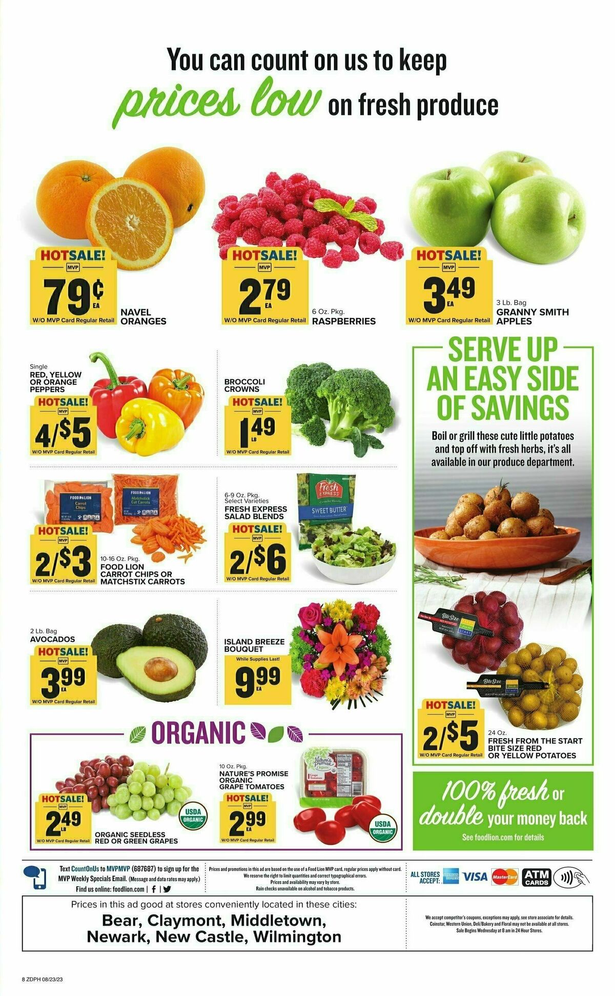 Food Lion Weekly Ad from August 23