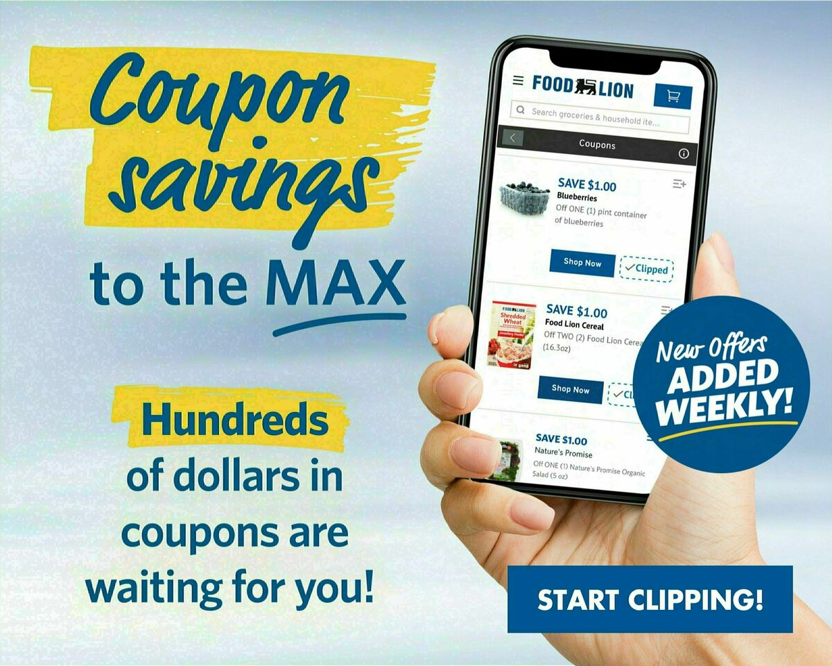 Food Lion Weekly Ad from August 23