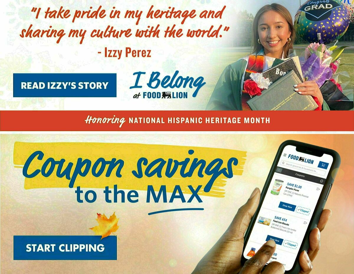 Food Lion Weekly Ad from October 11