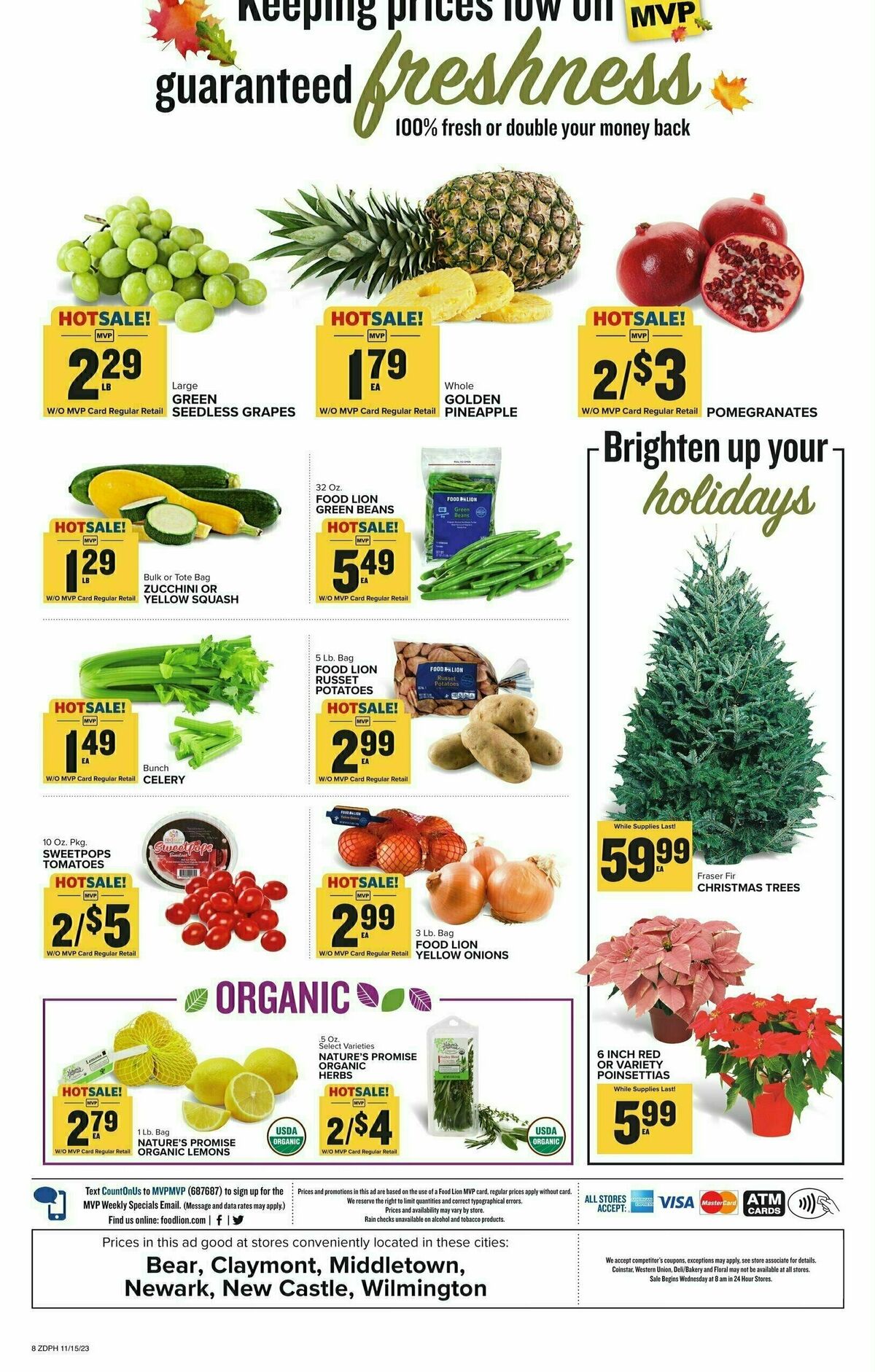 Food Lion Weekly Ad from November 15
