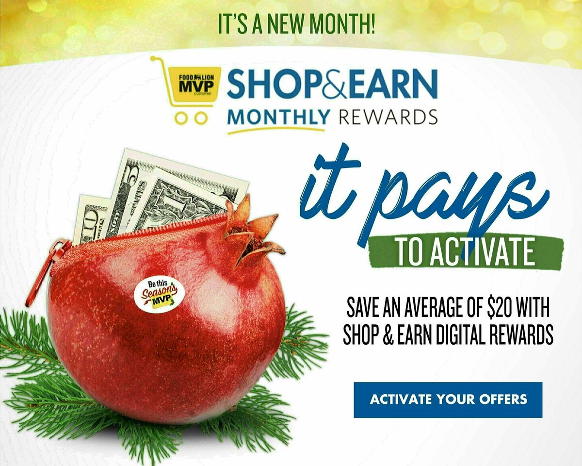 Food Lion Weekly Ad from December 6