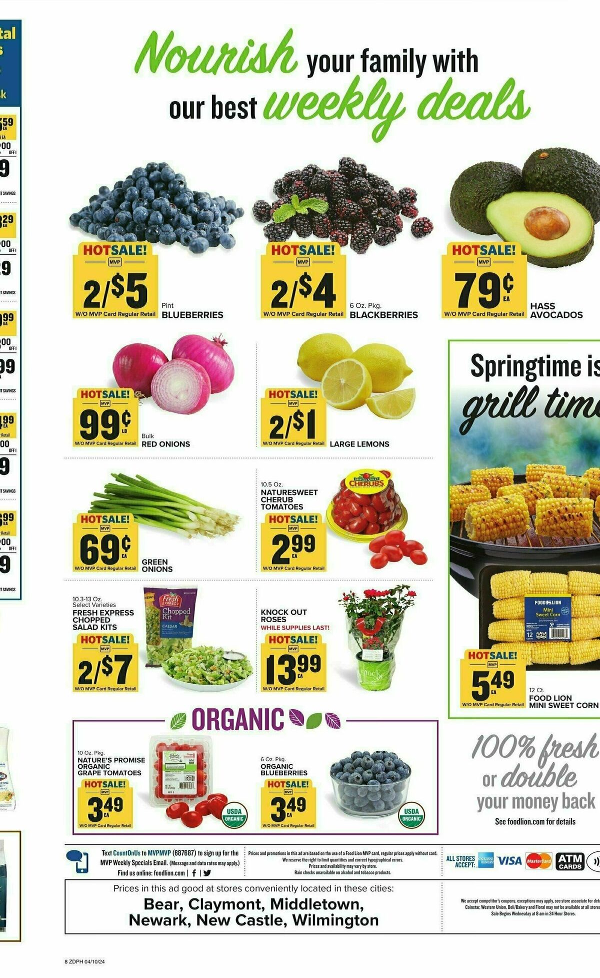 Food Lion Weekly Ad from April 10