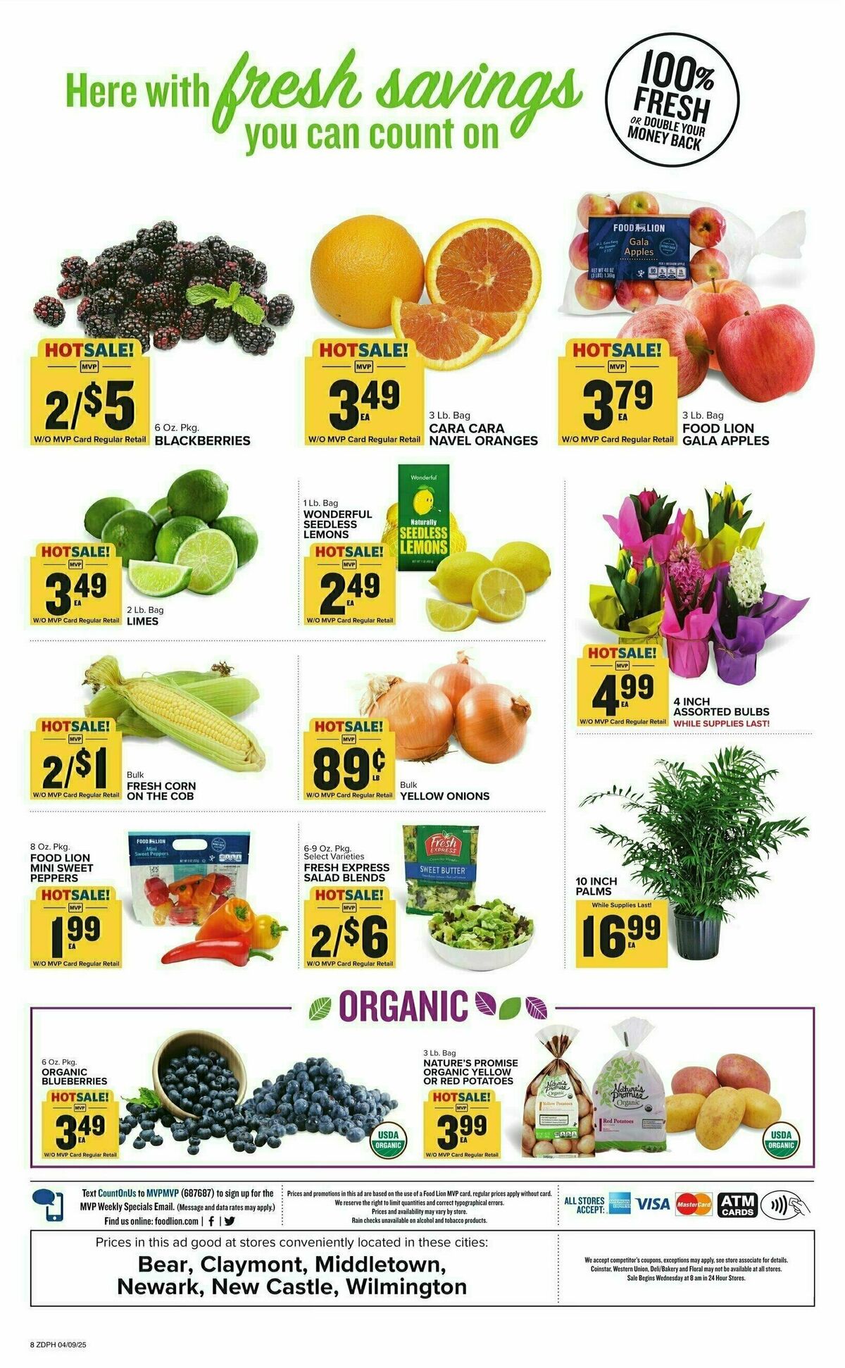 Food Lion Weekly Ad from April 9
