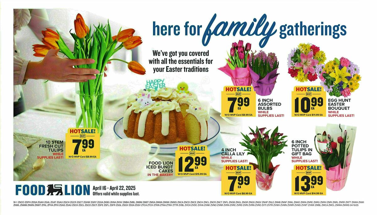 Food Lion Weekly Ad from April 16
