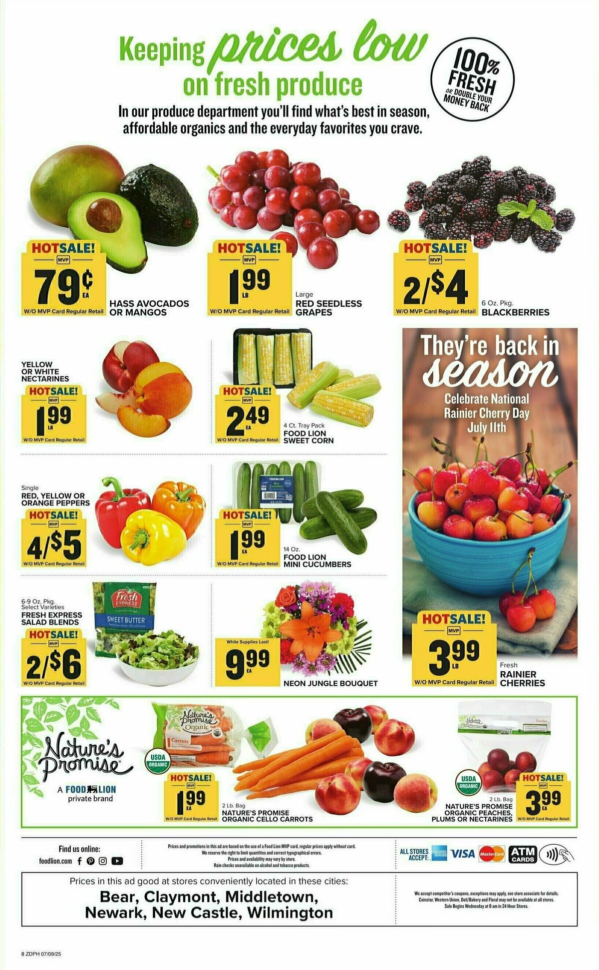 Food Lion Weekly Ad from July 9