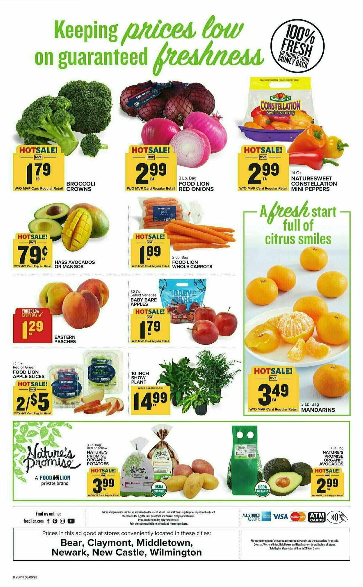 Food Lion Weekly Ad from August 6