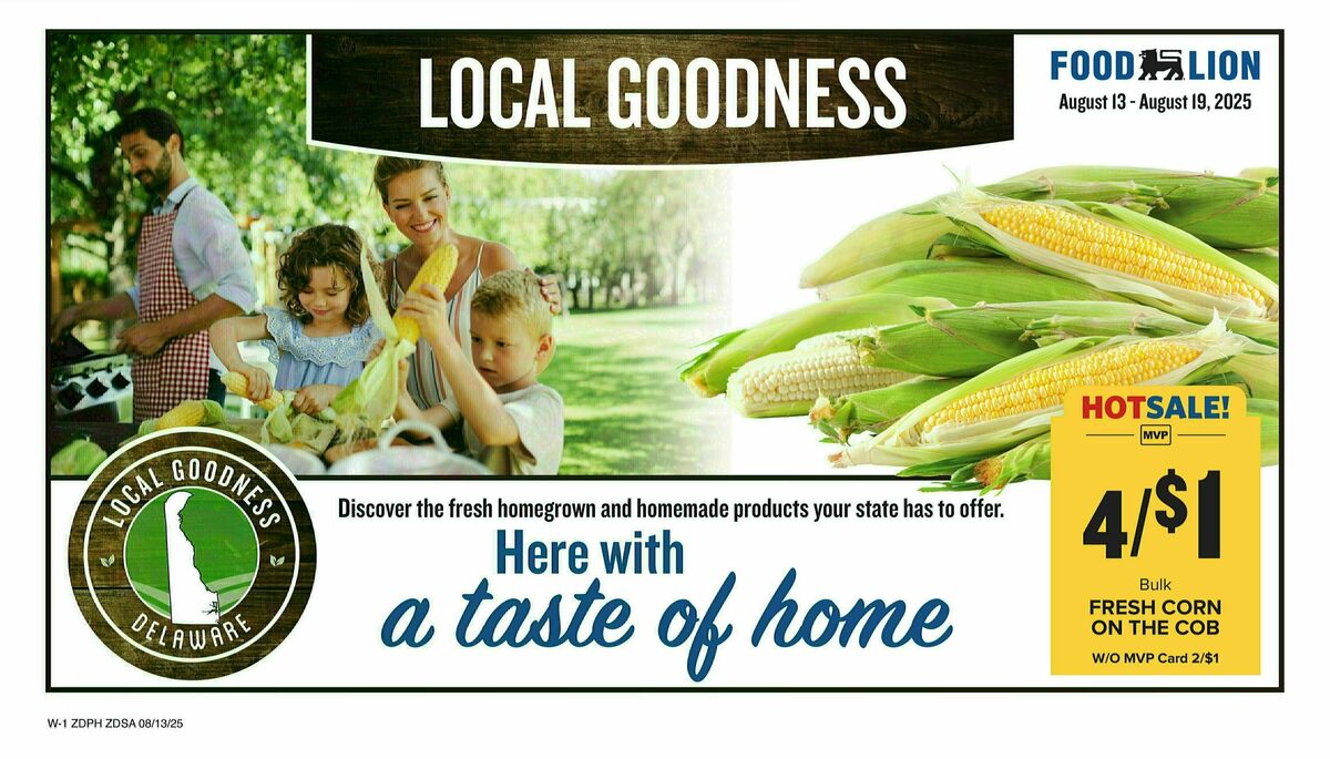 Food Lion Weekly Ad from August 13