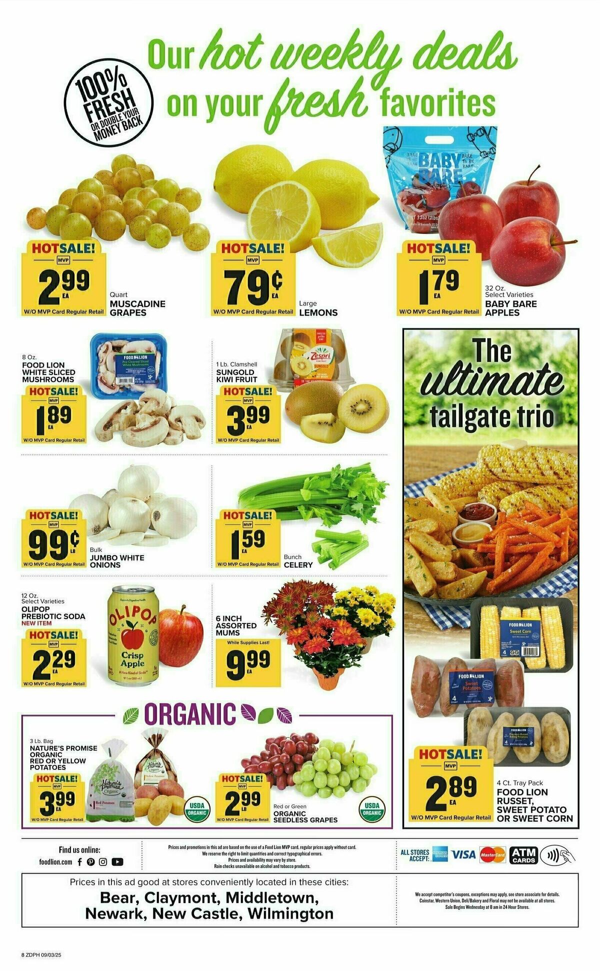 Food Lion Weekly Ad from September 3