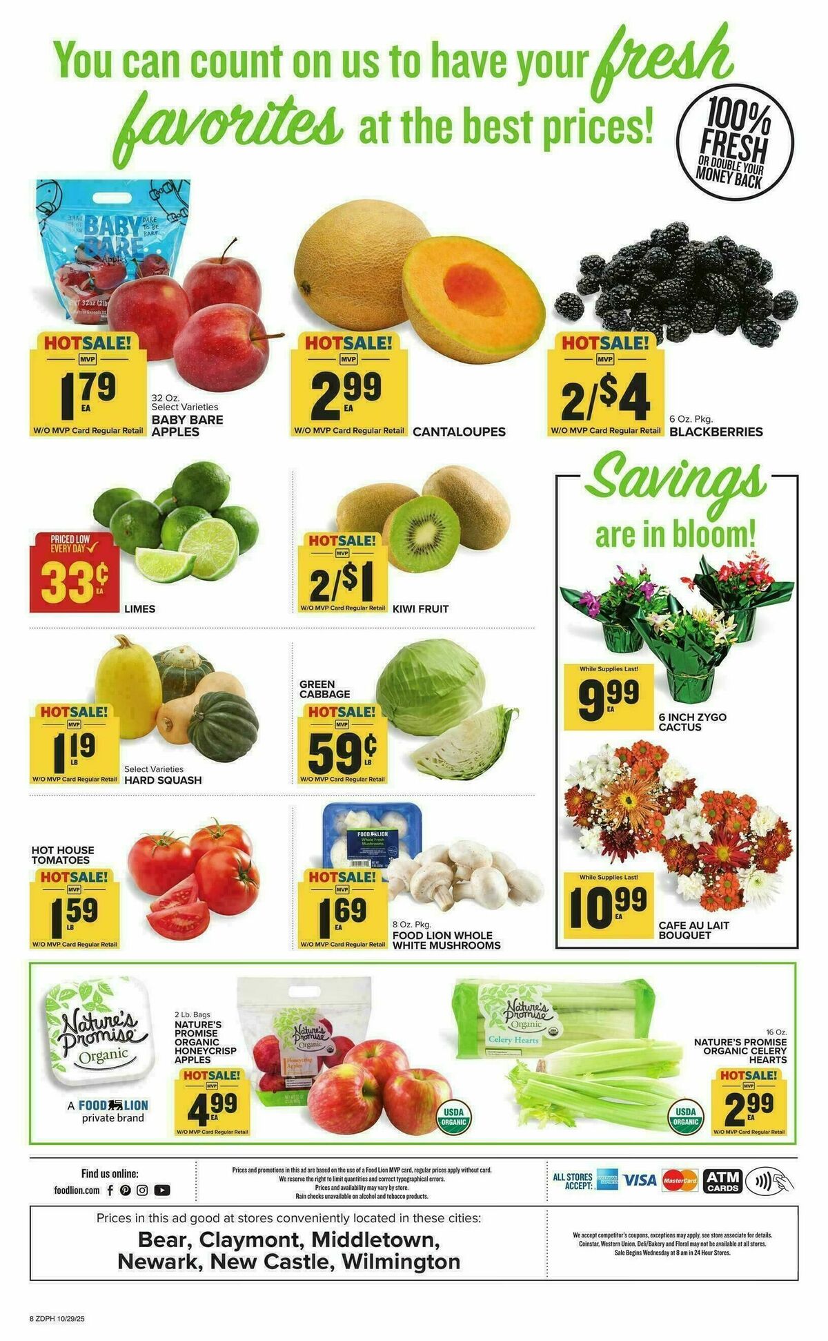Food Lion Weekly Ad from October 29