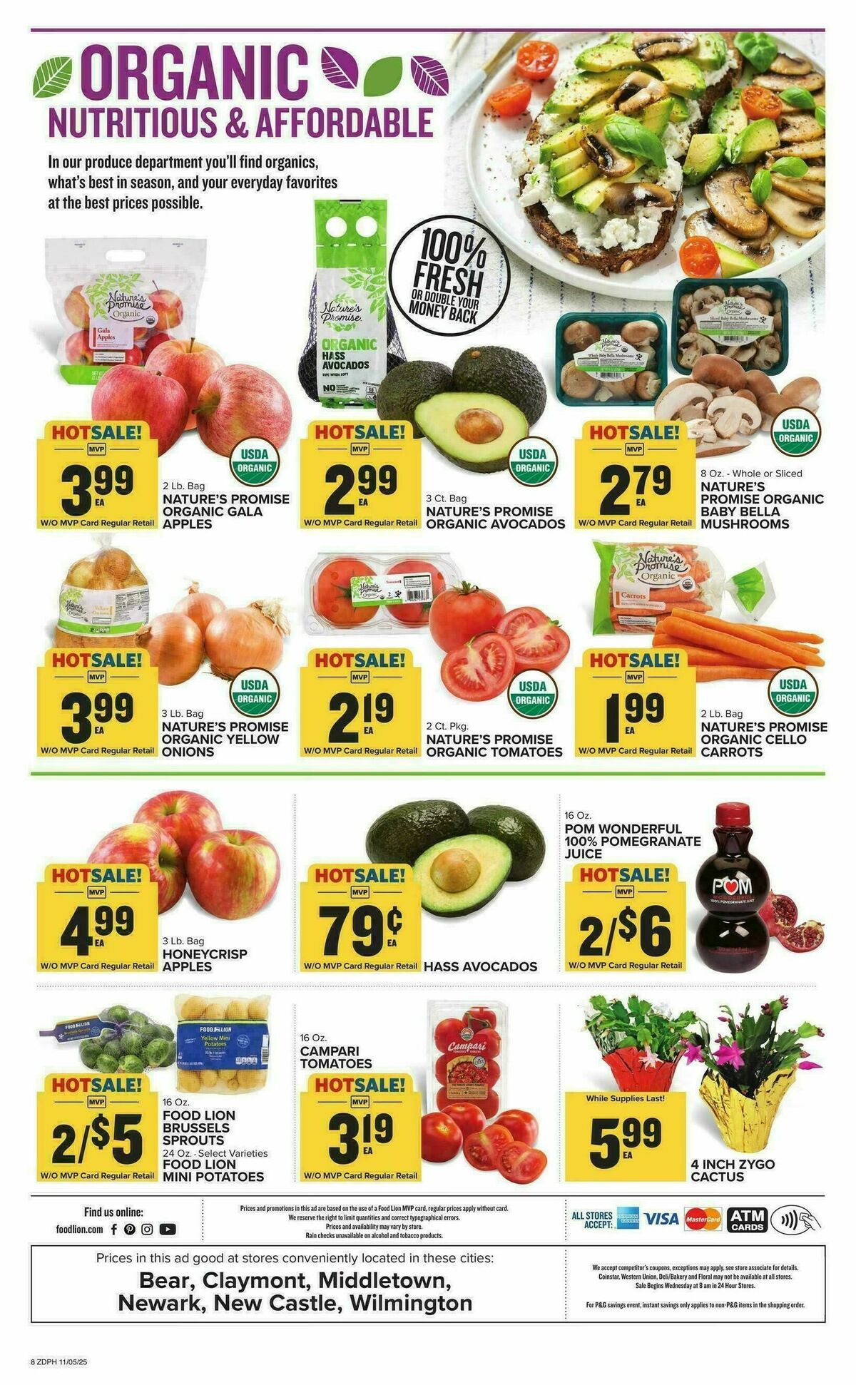 Food Lion Weekly Ad from November 5