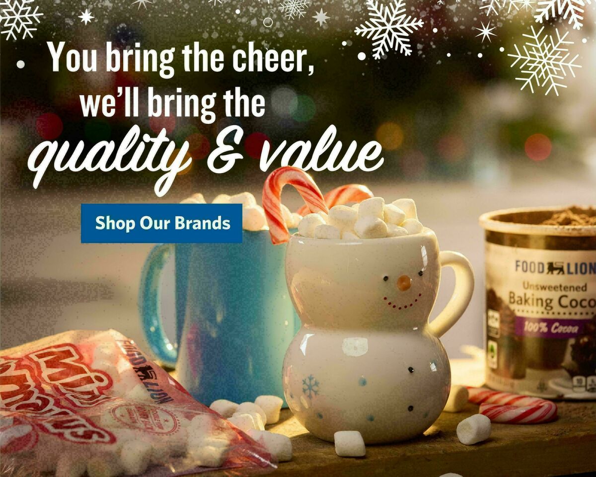 Food Lion Weekly Ad from December 17