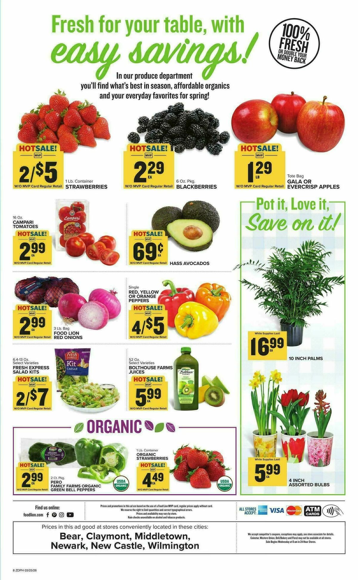 Food Lion Weekly Ad from March 25