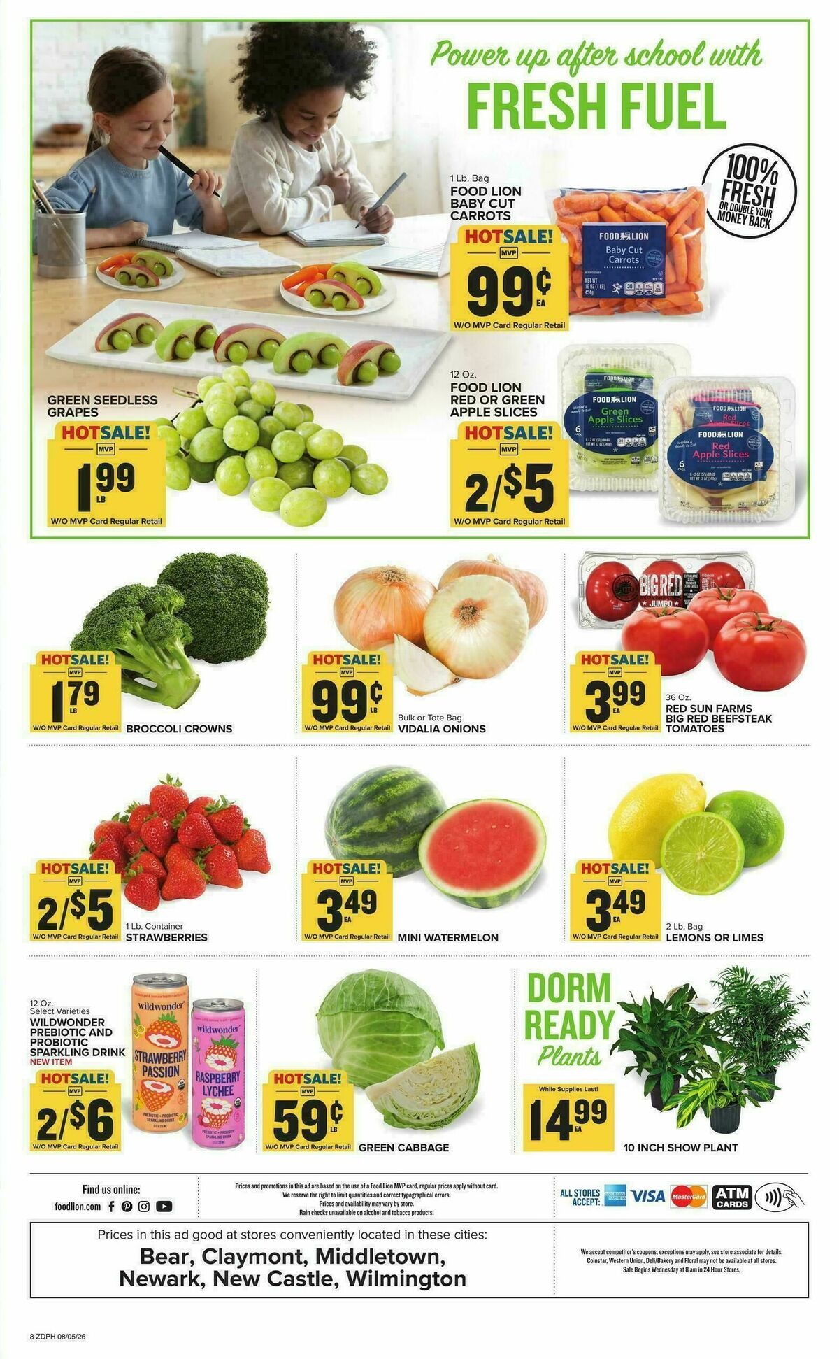 Food Lion Weekly Ad from August 5