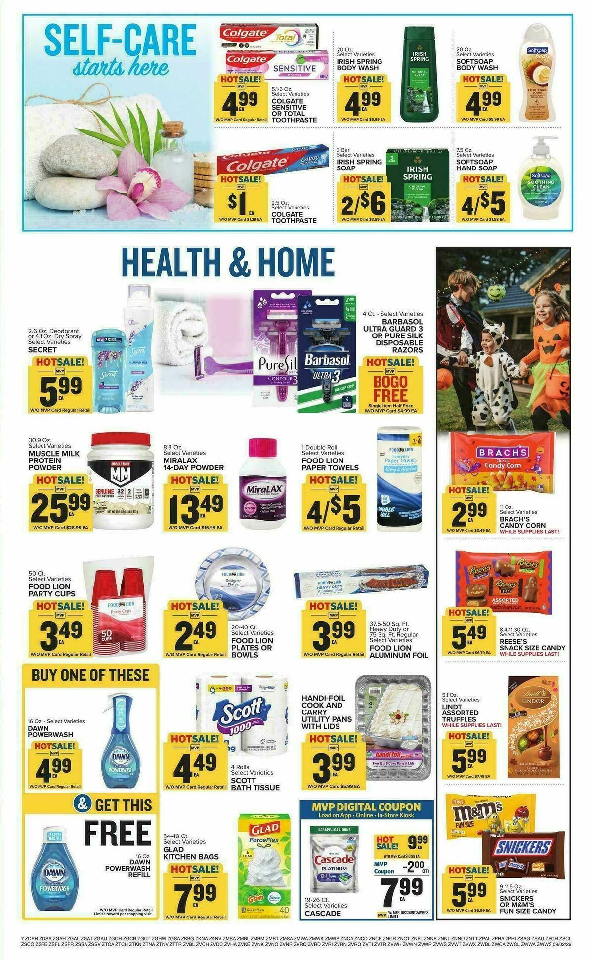 Food Lion Weekly Ad from September 2
