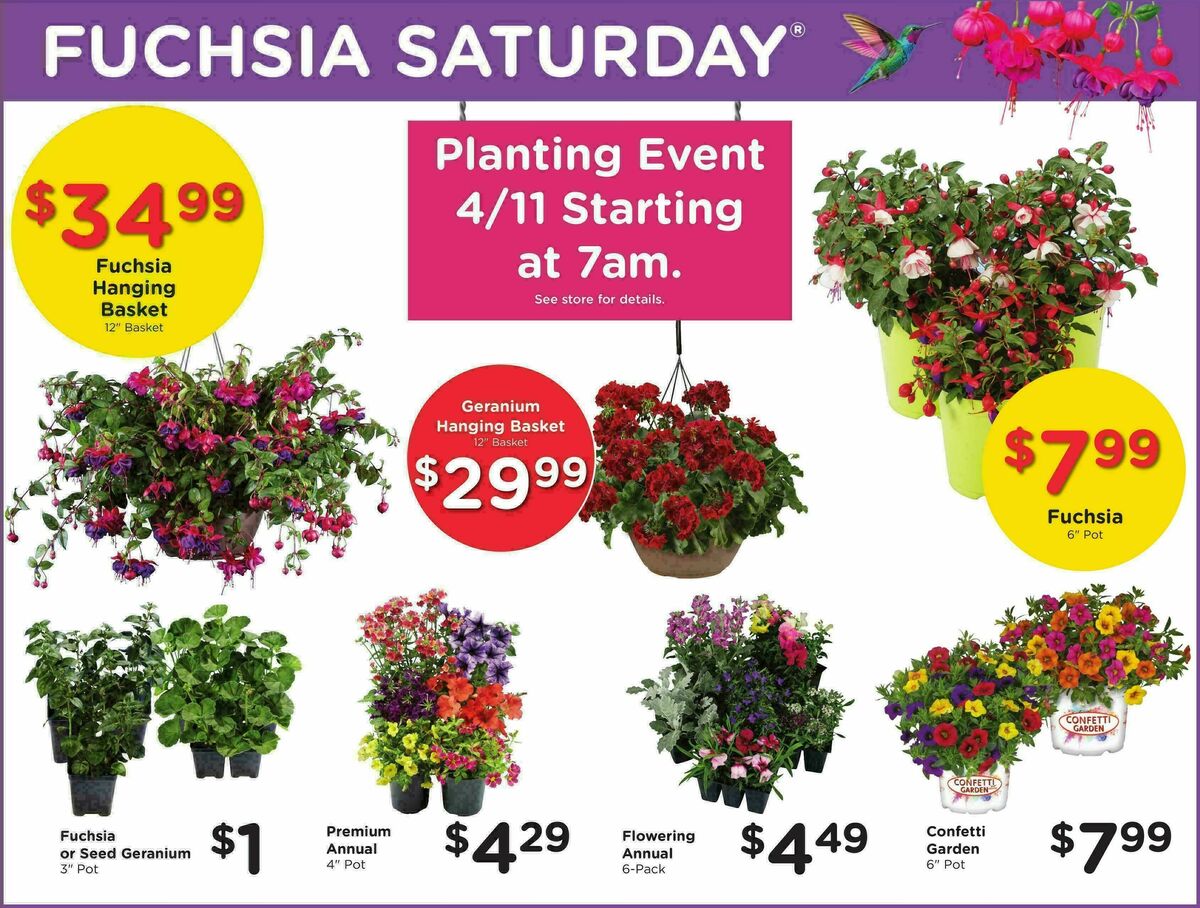 Fred Meyer Weekly Ad from April 8