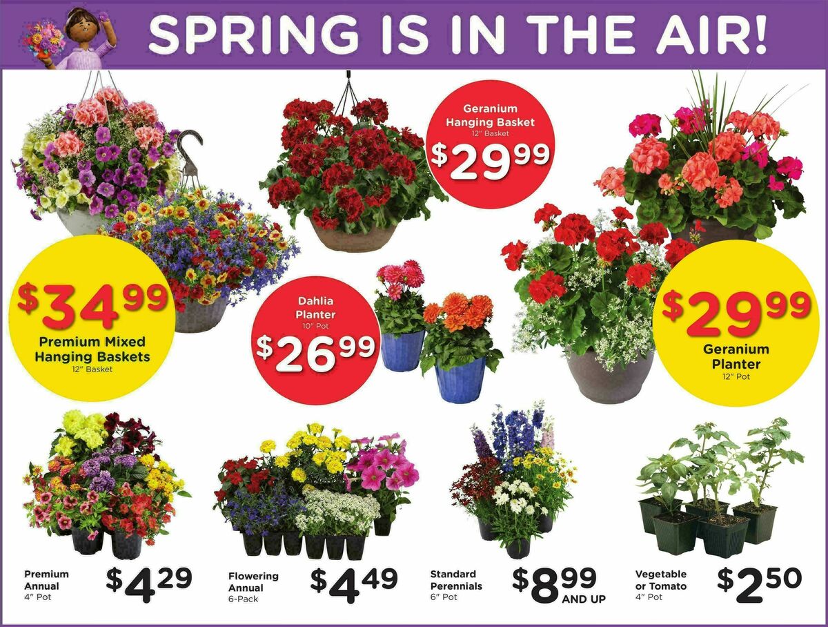 Fred Meyer Weekly Ad from April 29