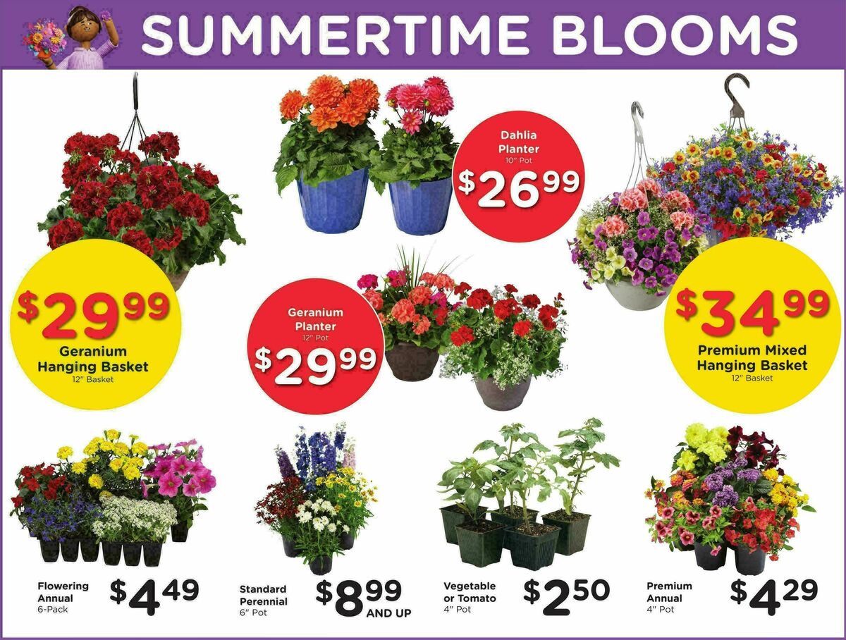 Fred Meyer Weekly Ad from May 20
