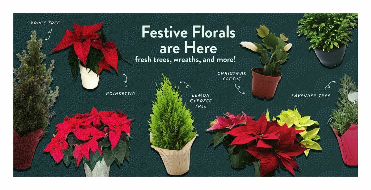 Fresh Thyme Farmers Market Weekly Ad from December 17