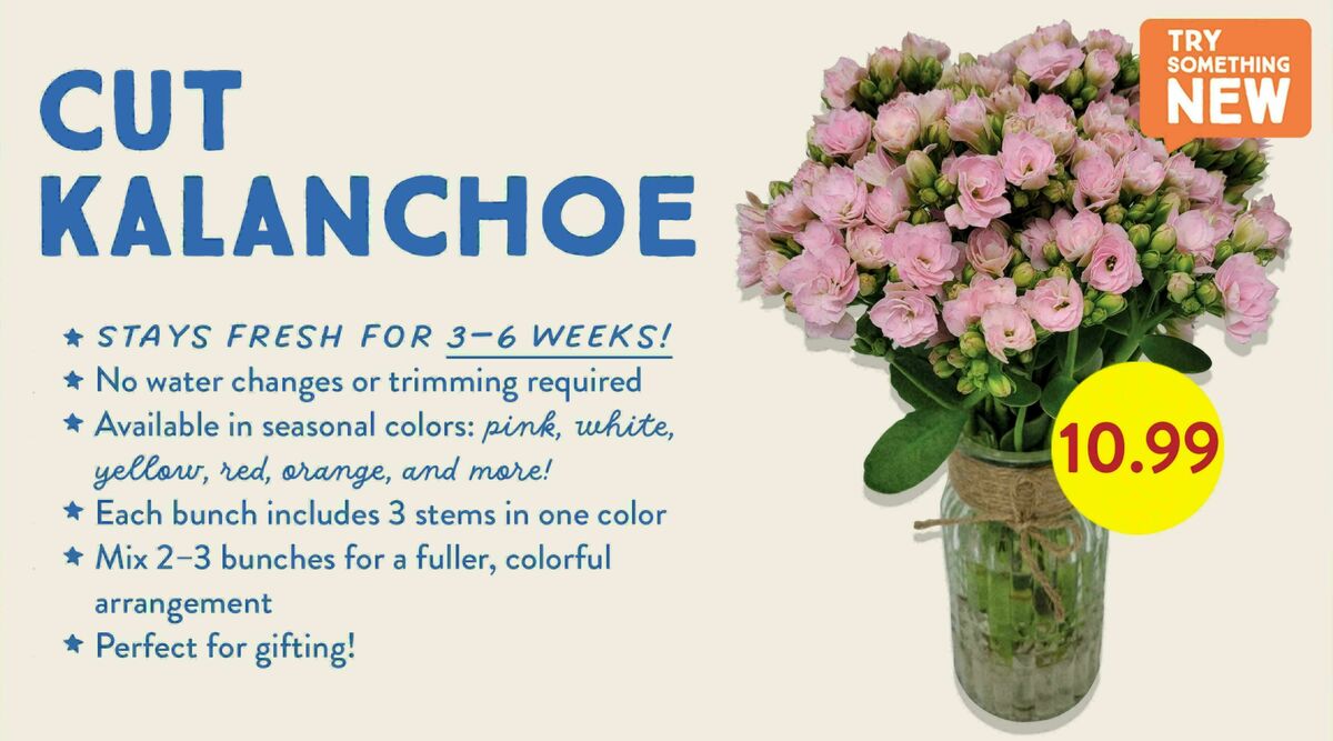 Fresh Thyme Farmers Market Weekly Ad from June 1