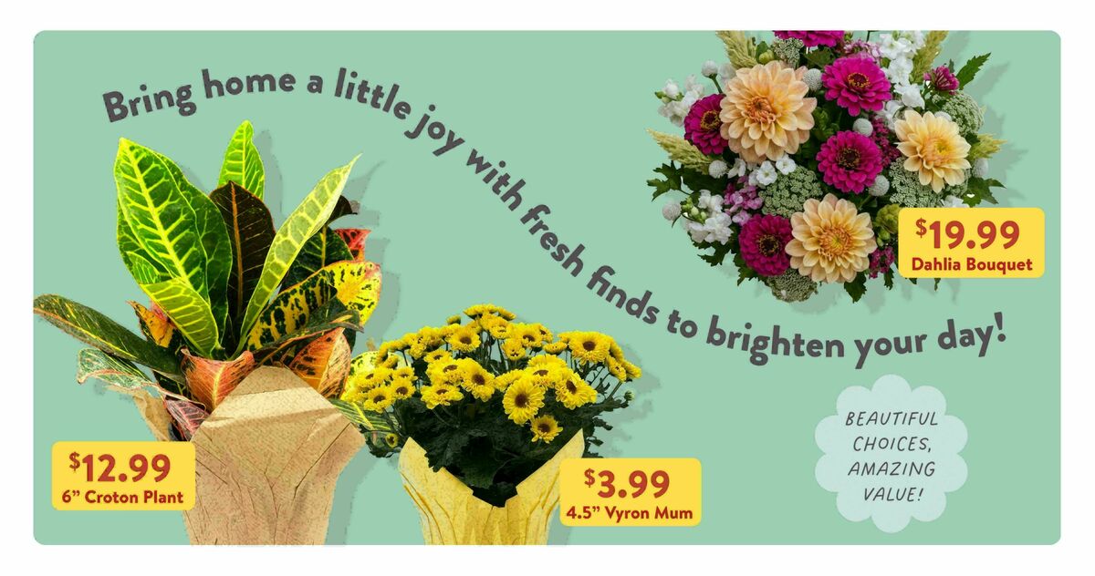 Fresh Thyme Farmers Market Weekly Ad from August 5