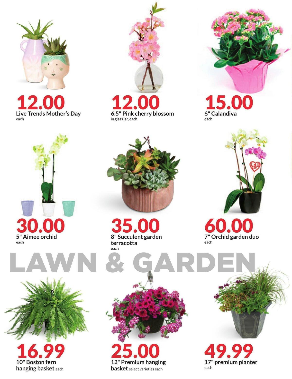 Hy-Vee Weekly Ad from May 10