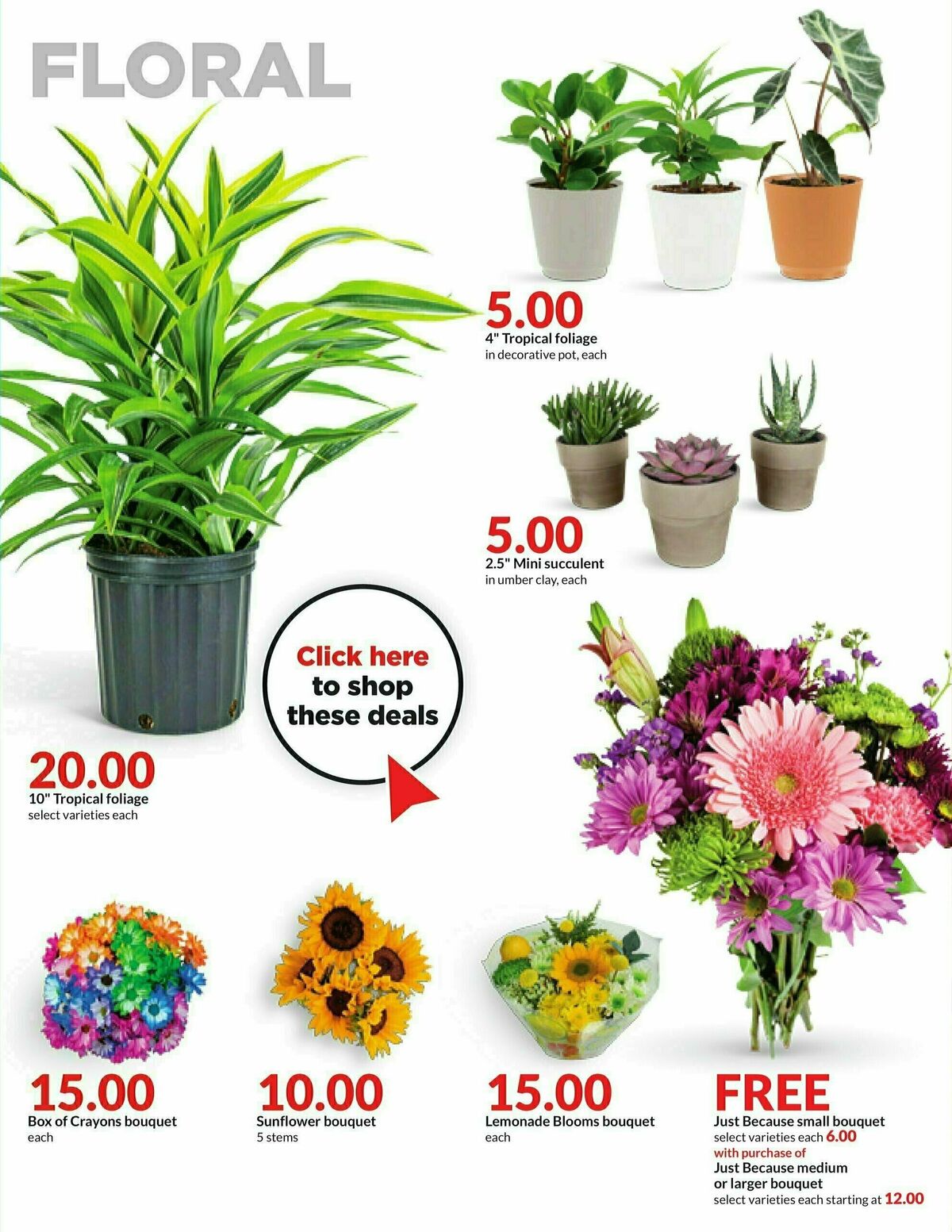 Hy-Vee Weekly Ad from August 14