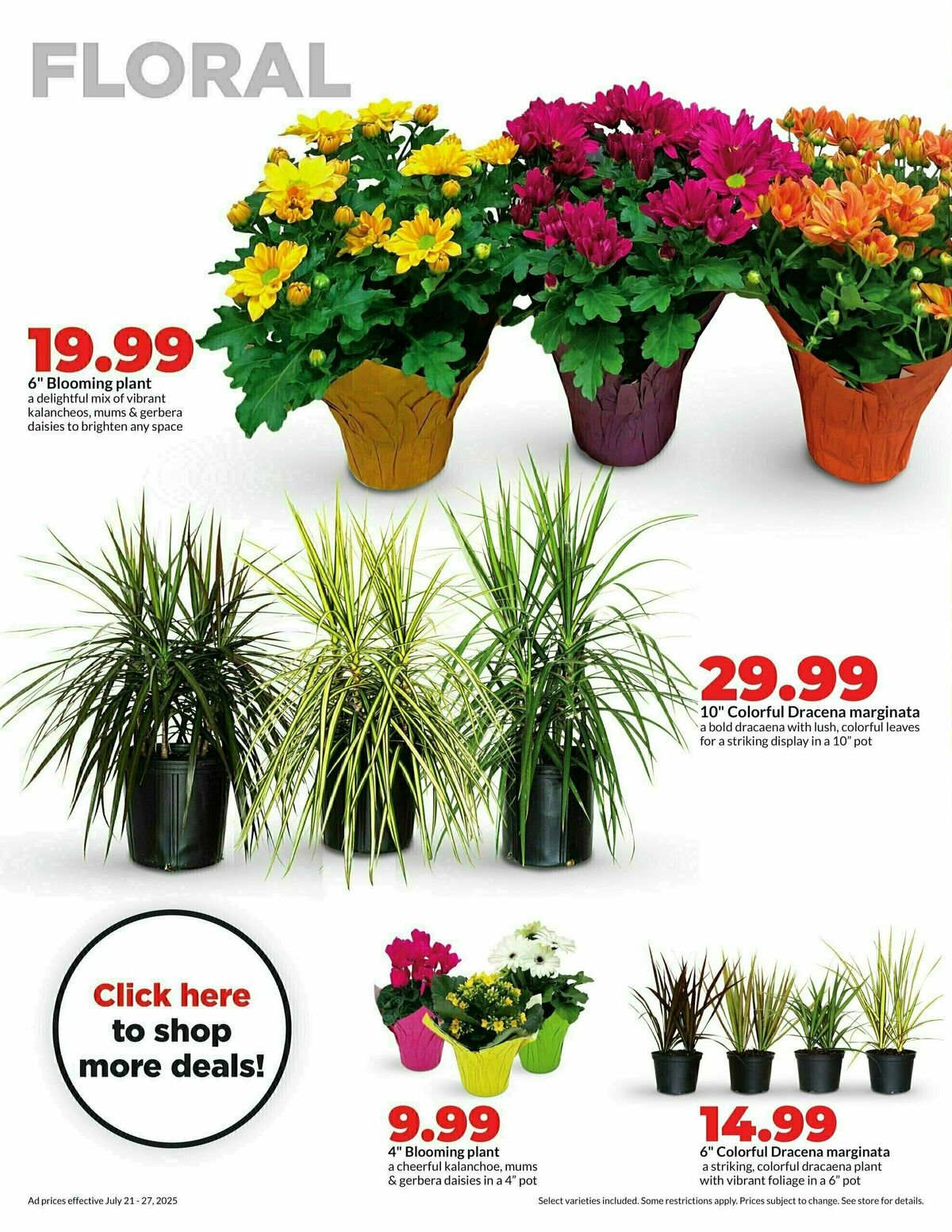 Hy-Vee Weekly Ad from July 21