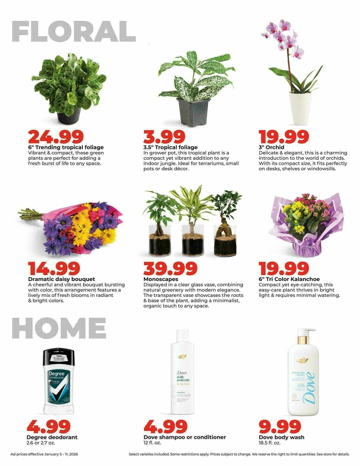 Hy-Vee Weekly Ad from January 5