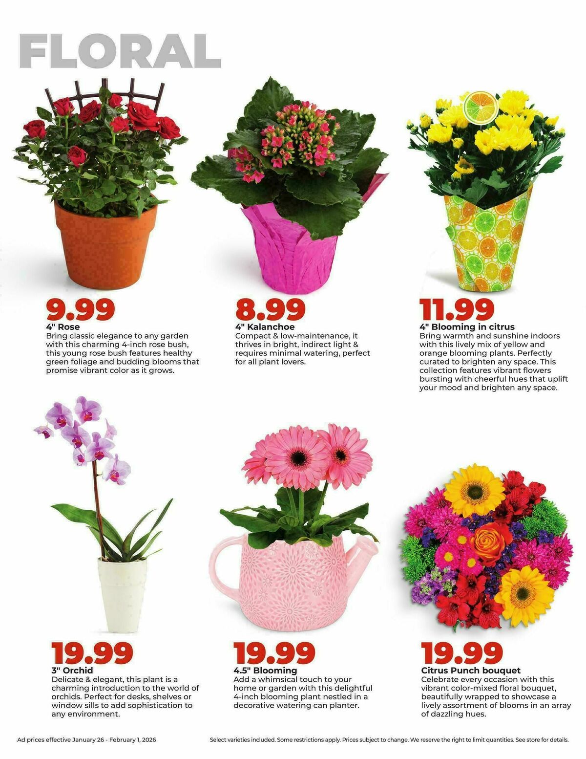 Hy-Vee Weekly Ad from January 26