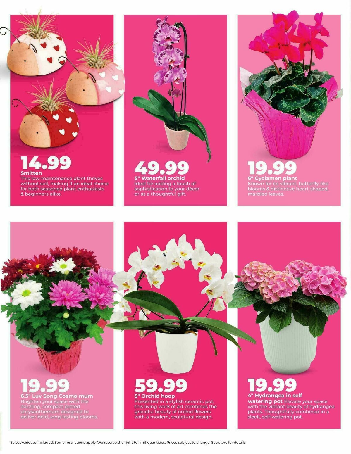 Hy-Vee Love is in the air Weekly Ad from February 2