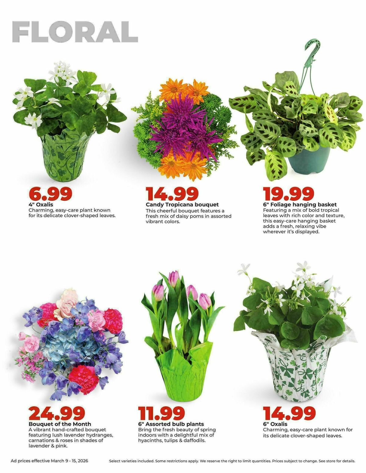 Hy-Vee Weekly Ad from March 9