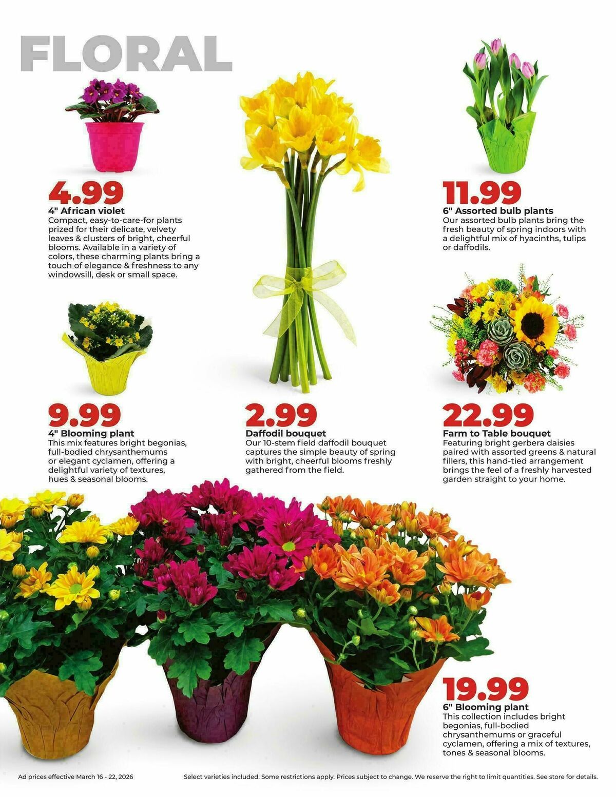 Hy-Vee Weekly Ad from March 16