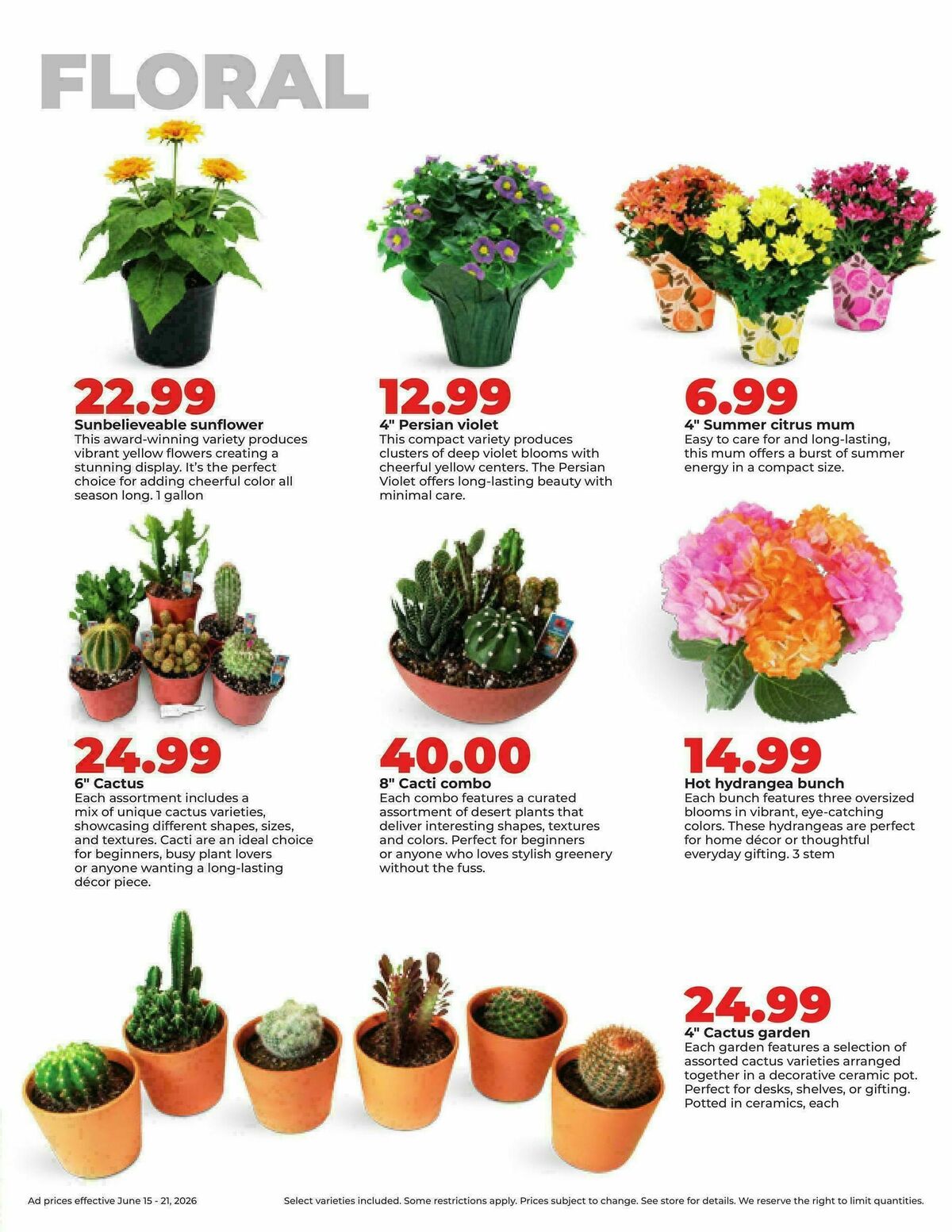 Hy-Vee Weekly Ad from June 15