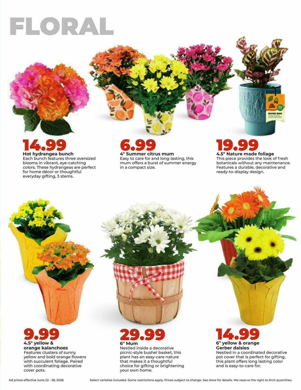 Hy-Vee Weekly Ad from June 22