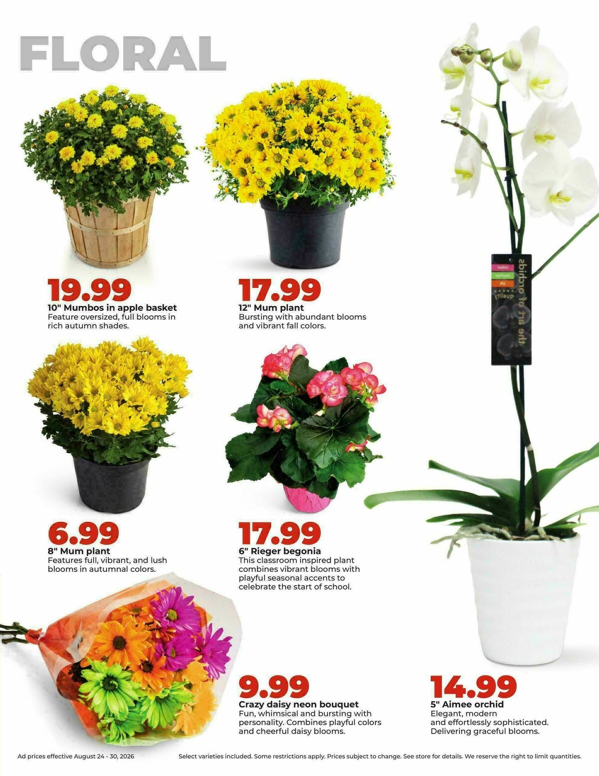 Hy-Vee Weekly Ad from August 24