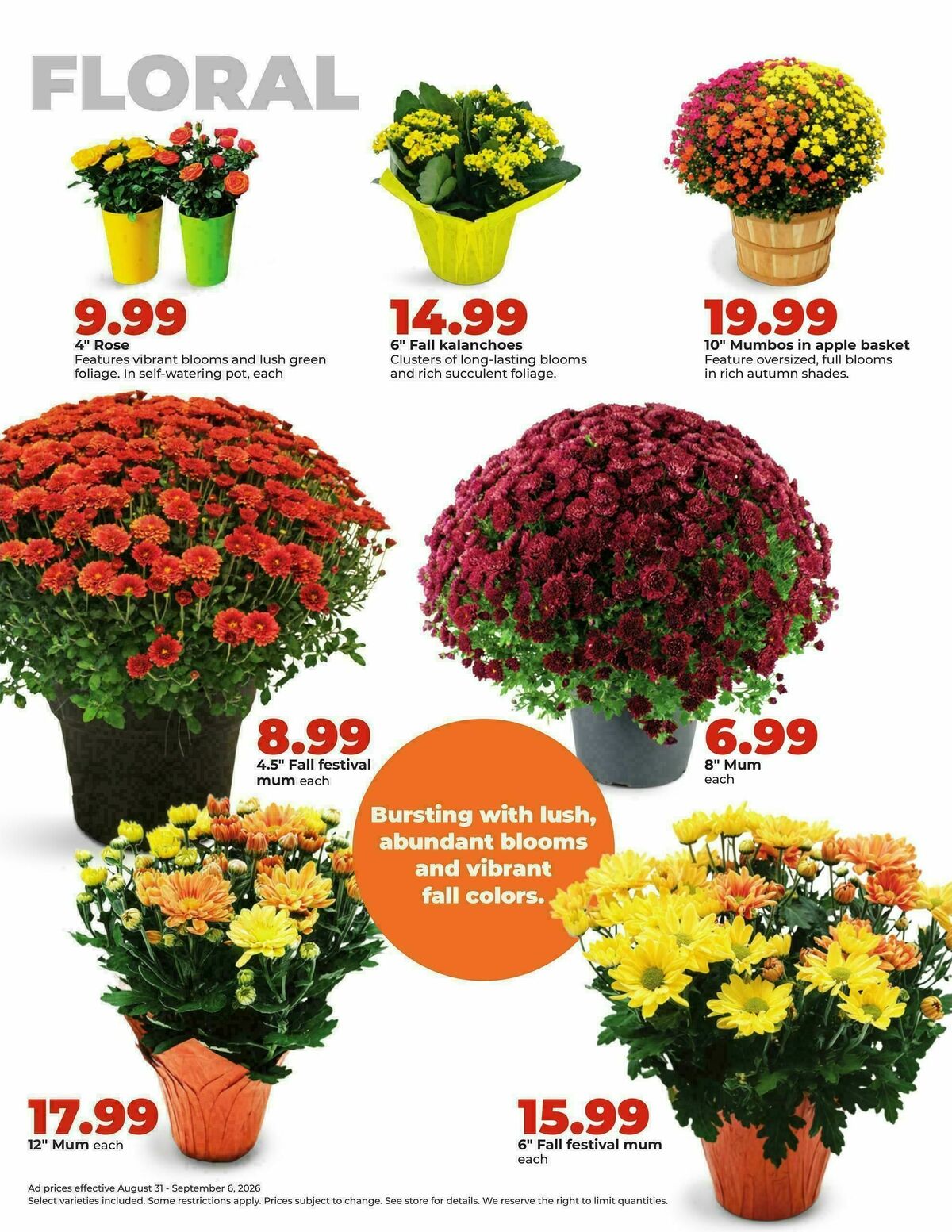Hy-Vee Weekly Ad from August 31