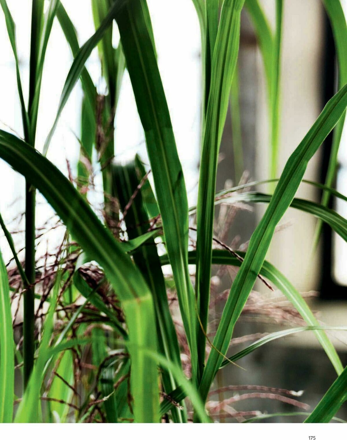 IKEA Office Brochure Weekly Ad from February 1