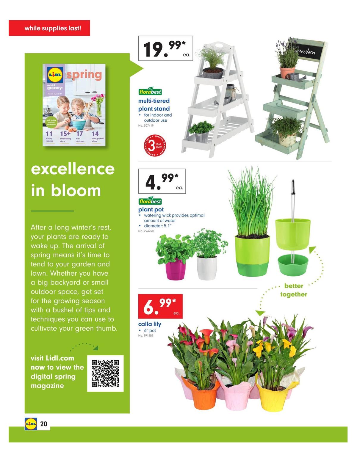 LIDL Weekly Ad from March 20
