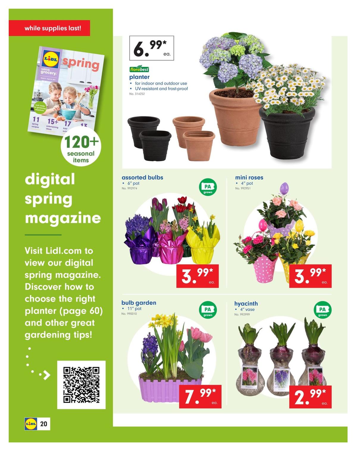 LIDL Weekly Ad from April 17