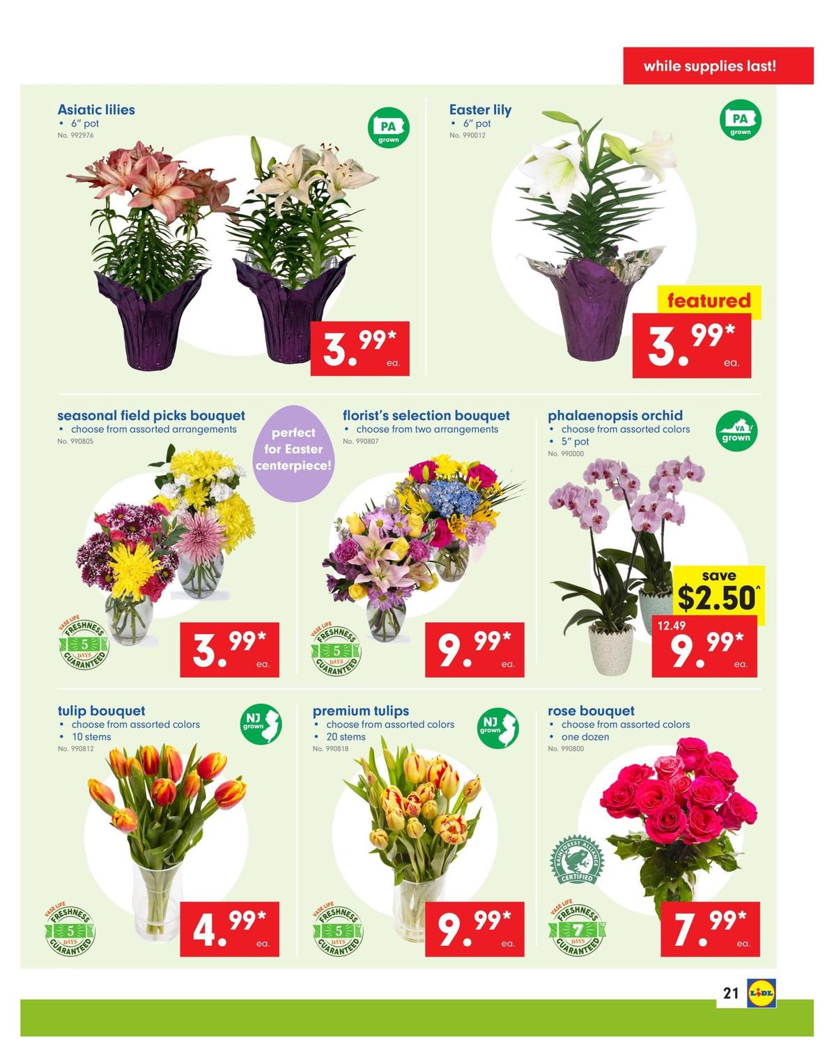 LIDL Weekly Ad from April 17