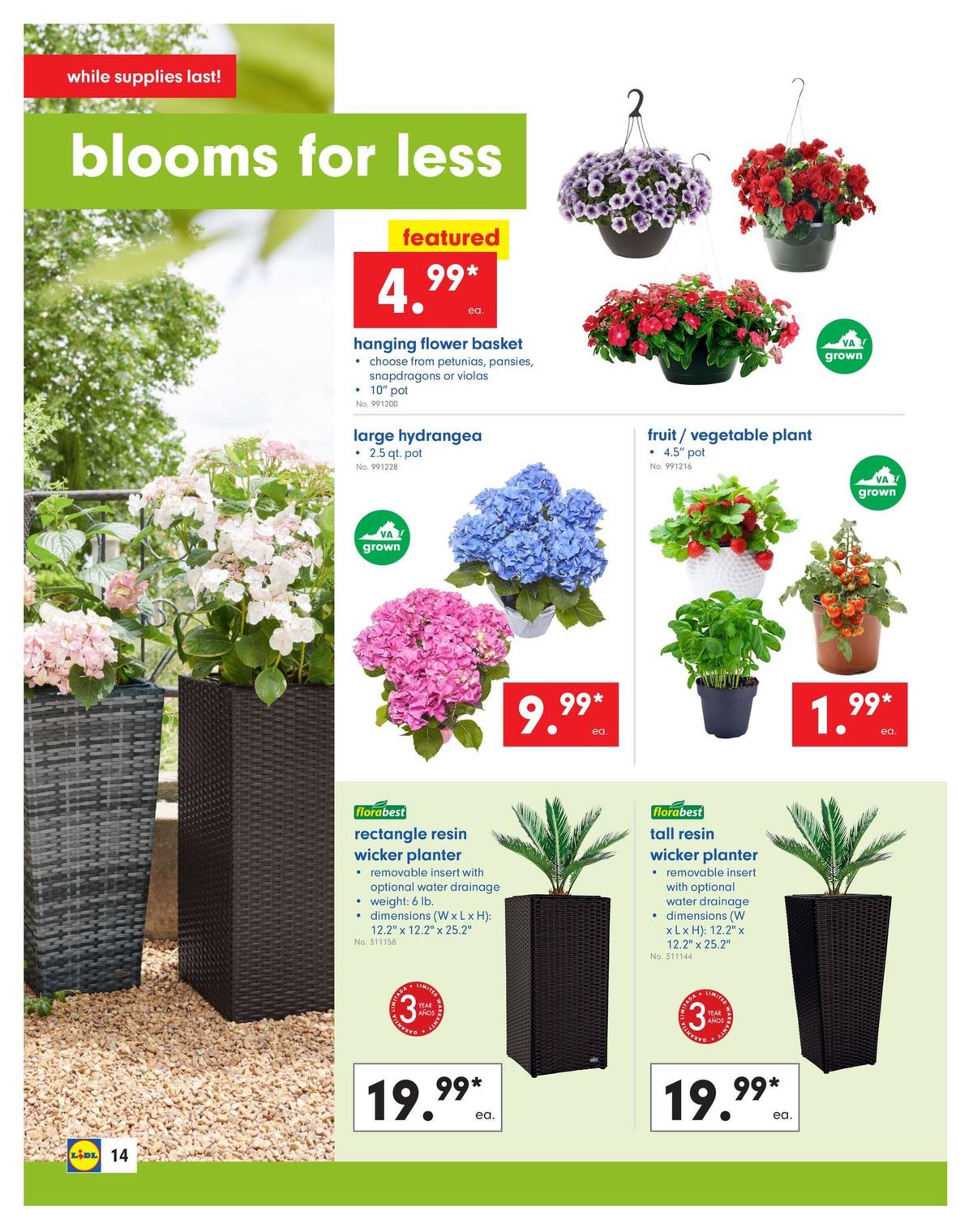 LIDL Weekly Ad from May 1