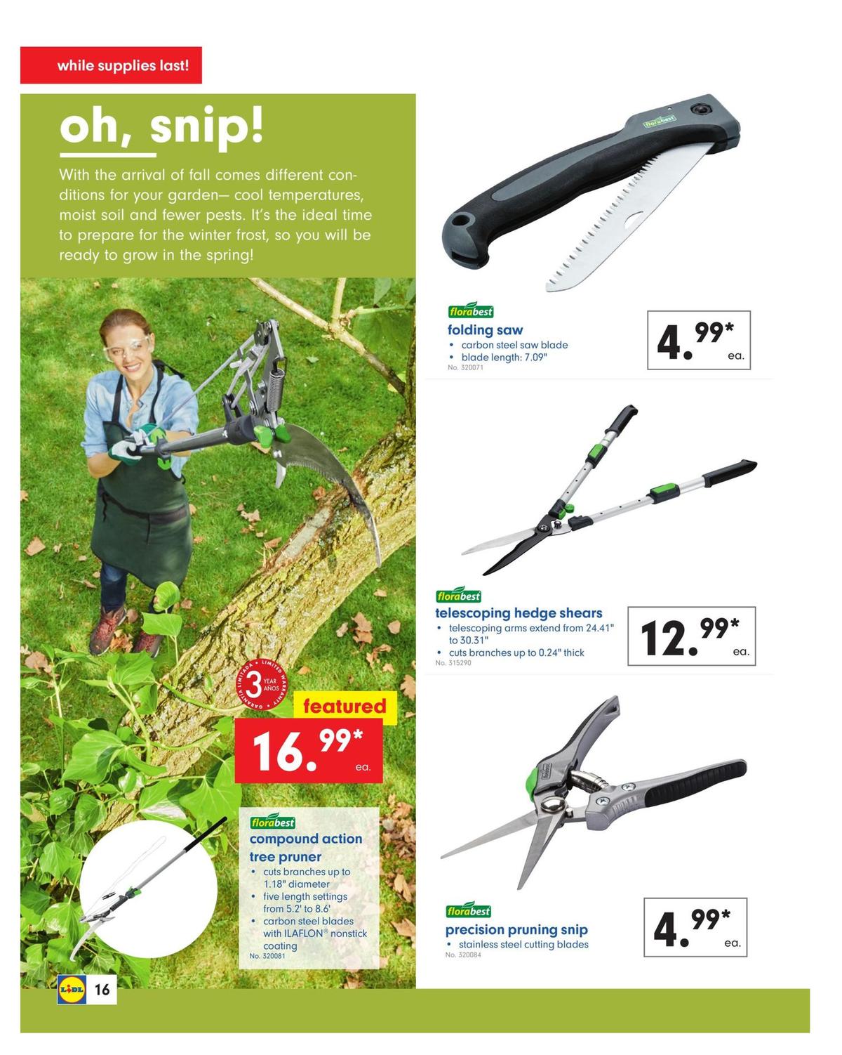 LIDL Weekly Ad from August 21