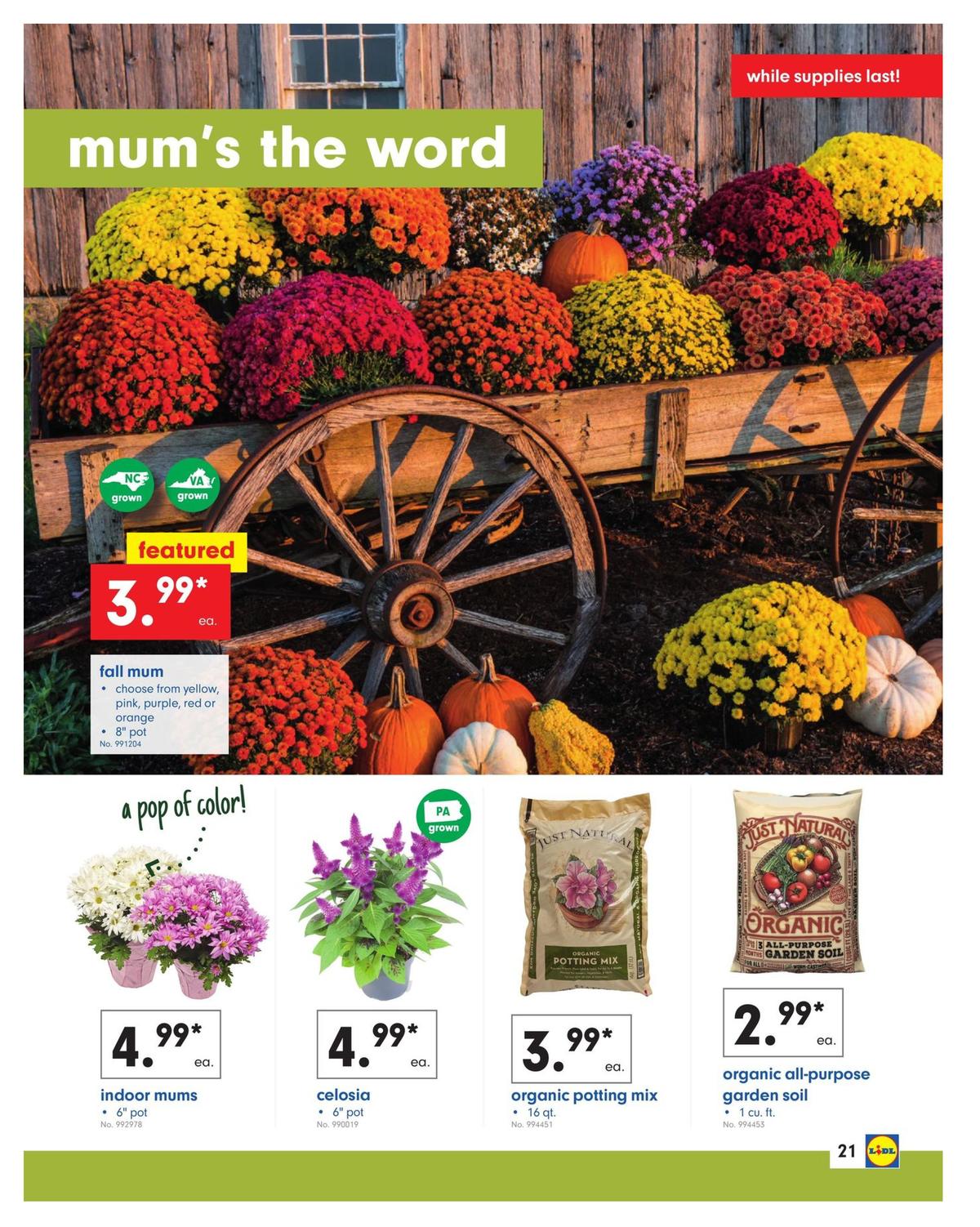 LIDL Weekly Ad from August 21