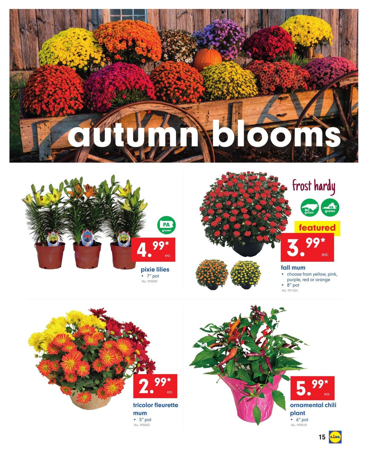 LIDL Weekly Ad from August 28